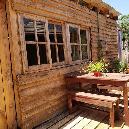 Los Charruas Hostel Punta Del Diablo Exterior photo